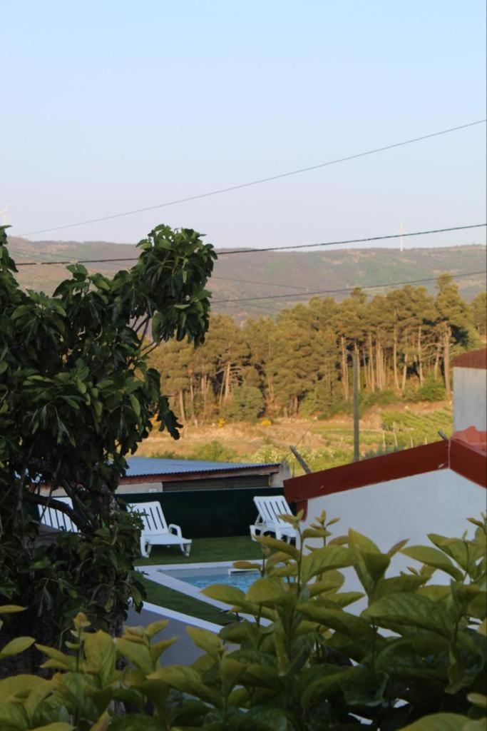 Casa Do Souto - Alojamento Local No Douro Aricera Eksteriør billede